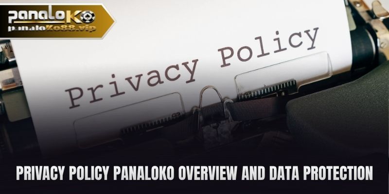 privacy policy panaloko overview and data protection